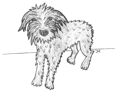 Zeichnung eines Hundes